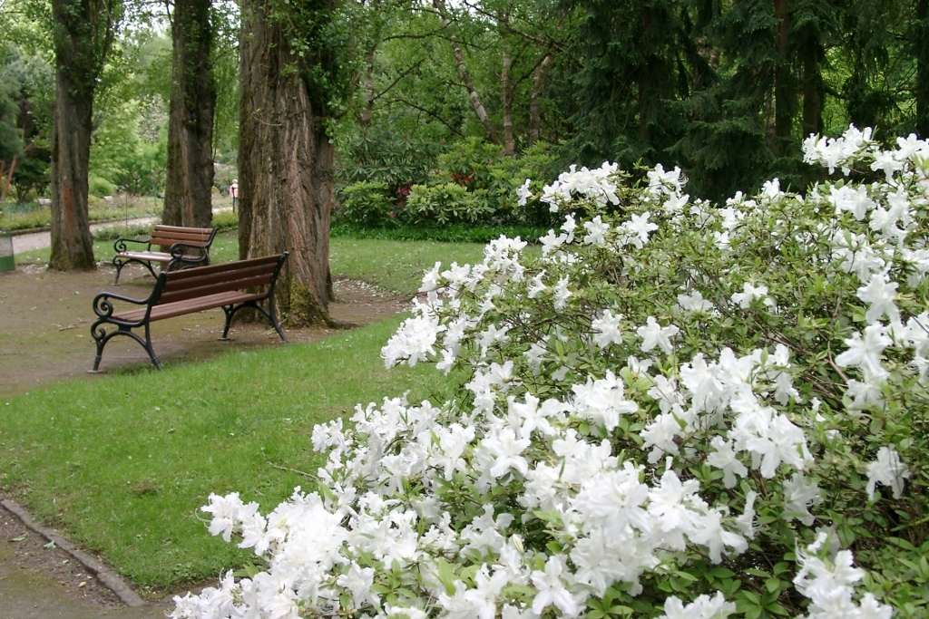 Eghn Botanical Garden Rombergpark
