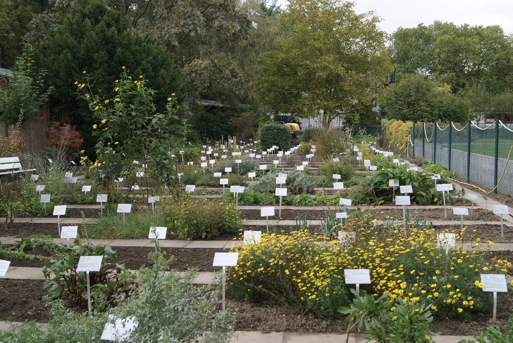 Eghn Botanical Garden Rombergpark