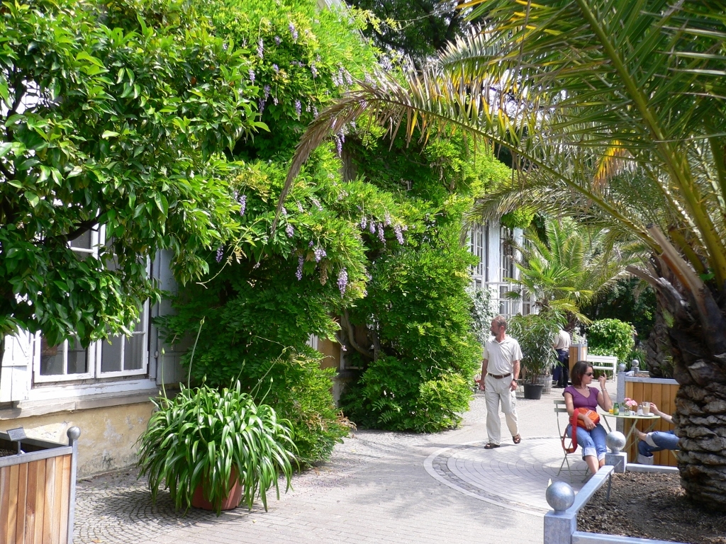 Eghn Botanischer Garten Und Schlossgarten Munster