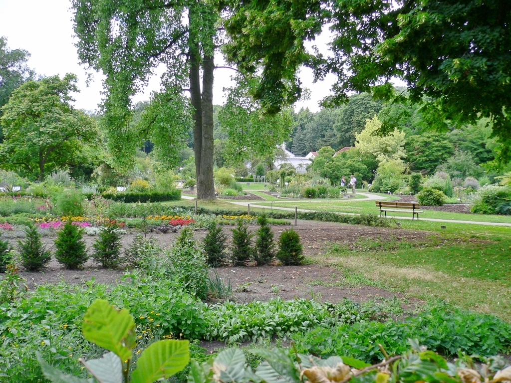 botanischer garten münster