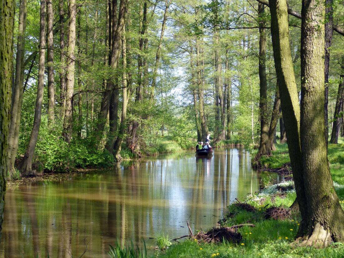 EGHN – Lausitzer Seenland Und Biosphärenreservat Spreewald